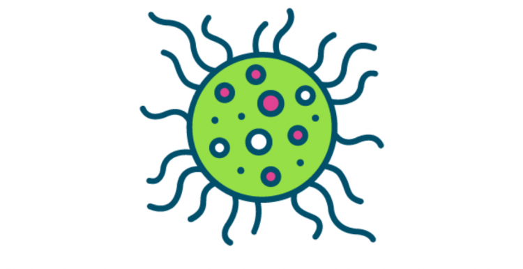 Coronavirus vaccine