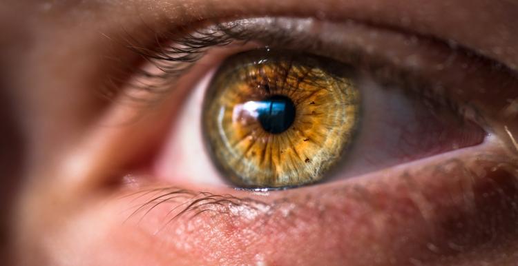 A close up of a hazel brown eye