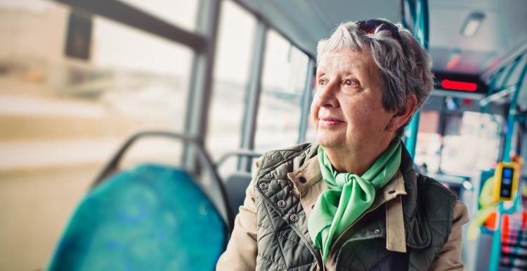 lady on a bus